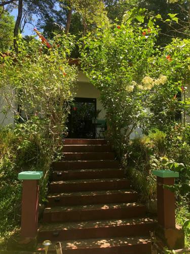 Hotel Casa Del Toucan