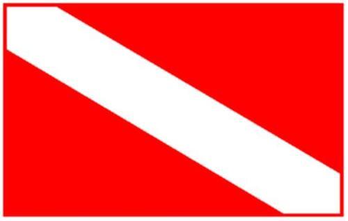 Apartamento Caba�as Tico Gringo