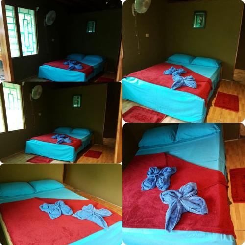 Hotel Pez Espada Tours Y Cabinas