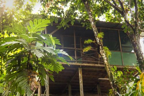 Tucan Private Family Cabana Cabin