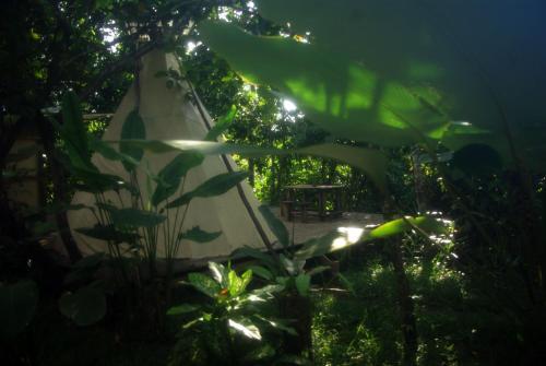 Hotel Pachamama Drake