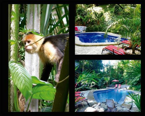 Hotel Casa Corcovado Jungle Lodge