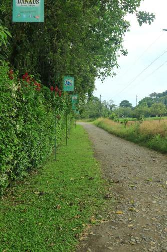 Lodge Ecocentro Danaus