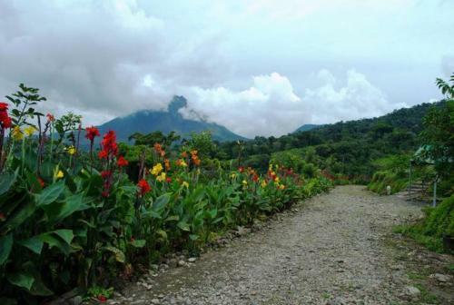 Bed & Breakfast Birdsong Villa