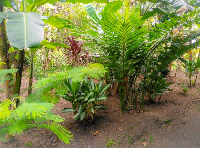 Lodge Arenal Xilopalo