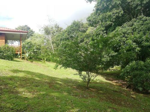 Green Treasure House Fortuna #9