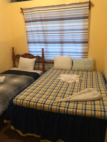 Albergue Backpackers Arenal Pura Vida