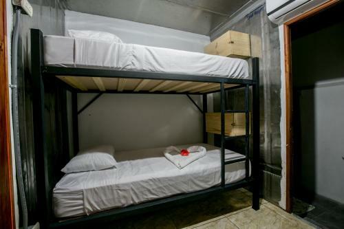 Arenal Container Hostel
