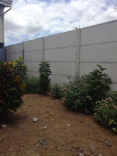 Apartamentos Ranas Y Ranitas