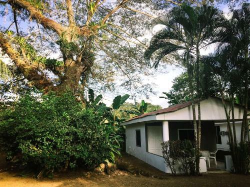 Agroturismo Villas Majolana