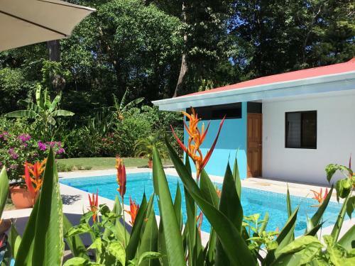 Apartamento Studio On Tropical Garden