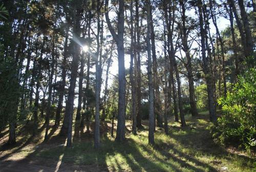 Lodge Caba�as Poetas Del Bosque