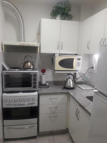 Apartamento Depto Sobre Peatonal San Martin