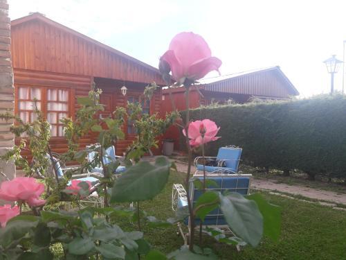 Lodge Caba�as El Maiten Vistalba