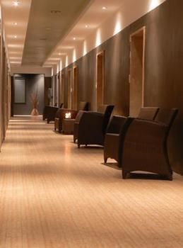 Hotel Igea Suisse