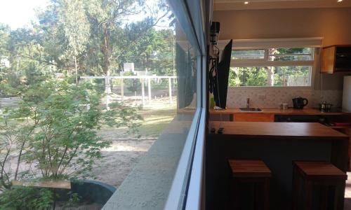 Apartamento Olivo De Bohemia