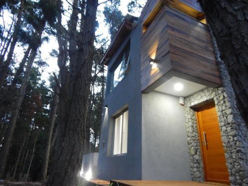 Ilusiones Bosque Y Mar