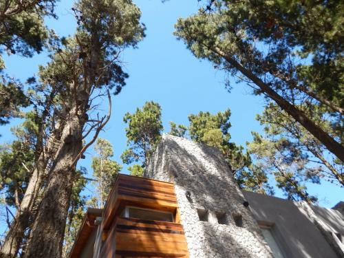 Ilusiones Bosque Y Mar