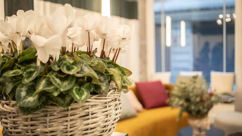 Hotel Soho Boutique Congreso