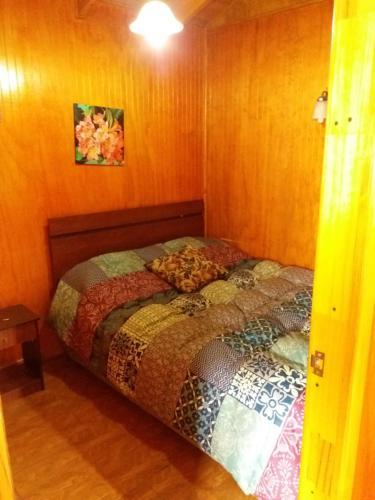 Lodge Puelche De Antuco