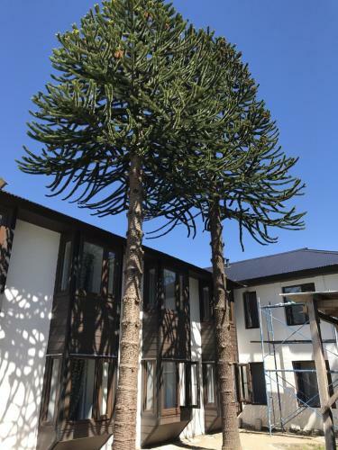 Hotel Aysen Austral