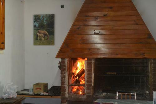 Lodge Cabanas Cacique Catriel