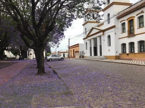 El Jacarand� En Chascom�s