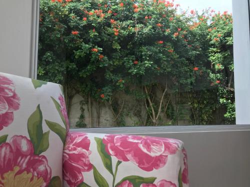 El Jacarand� En Chascom�s