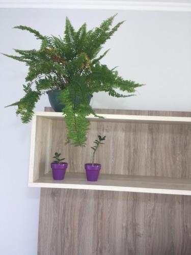 Apartamento Depto Frente A La Laguna