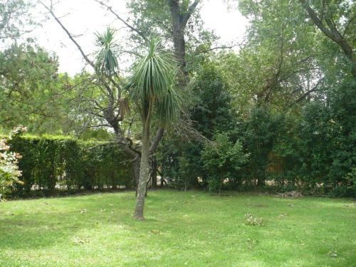 Chalet Con Piscina