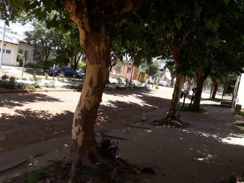 Apartamento Bungalow Anita N� 3