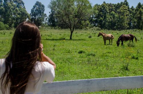 Complejo La Finca