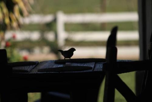 Lodge El Paso Ibera Caba�as