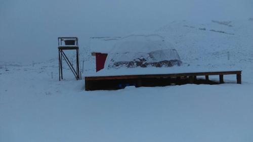 Liucura Glamping & Lodge
