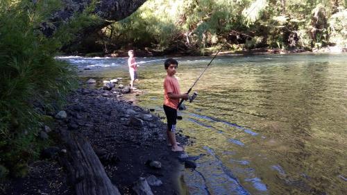 Lodge Domo Entre Bosques