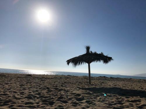 Apartamento Departamento En Papudo