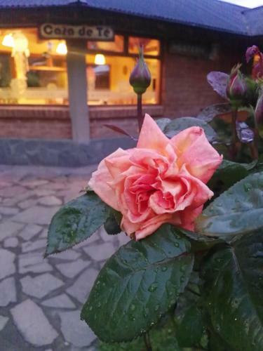 Posada Elen Hosteria Casa De T�