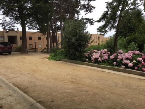 Apartamento Departamento 43d Condominio Cau Cau