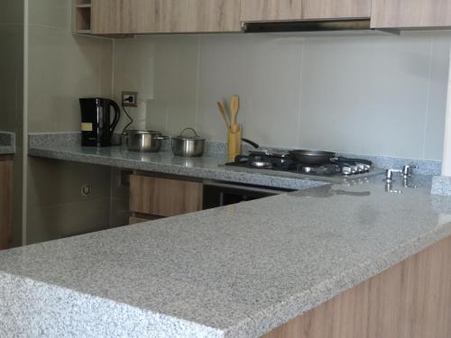 Apartamento Departamento Temuco Centro