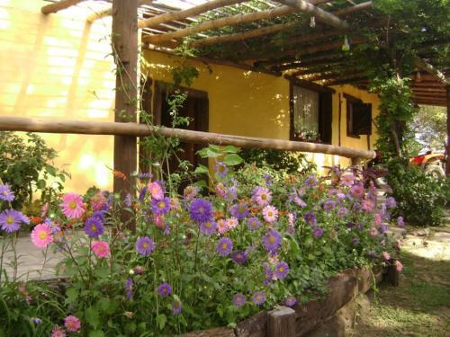 Lodge Caba�as Kalahuasi El Durazno