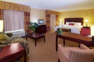Hotel Hampton Inn & Suites San Antonio-airport Tx