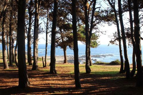 Caba�as Bosques Del Canelo