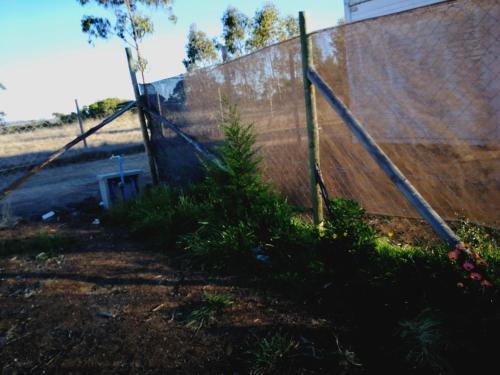 Apartamento Caba�as Brisas Del Campo Y Mar