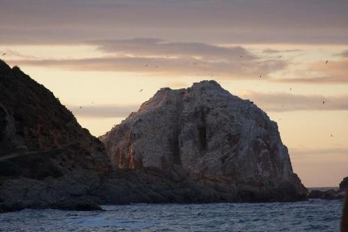 Casa Algarrobo - El Canelo