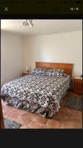 Casa Algarrobo - El Canelo