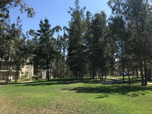 Apartamento Depto Vacacional La Candelaria Algarrobo