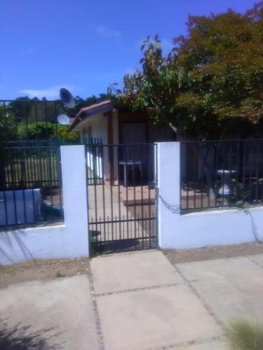 Algarrobo Todo El A�o