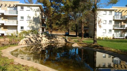 Bosque Del Algarrobo Apartment