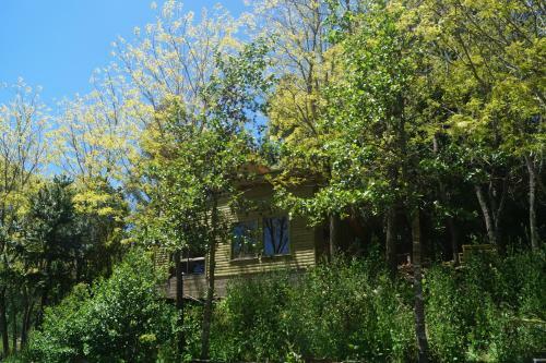 Lodge Caba�a Ribera De Buchupureo