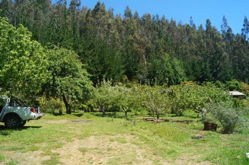 Lodge Caba�a Ribera De Buchupureo